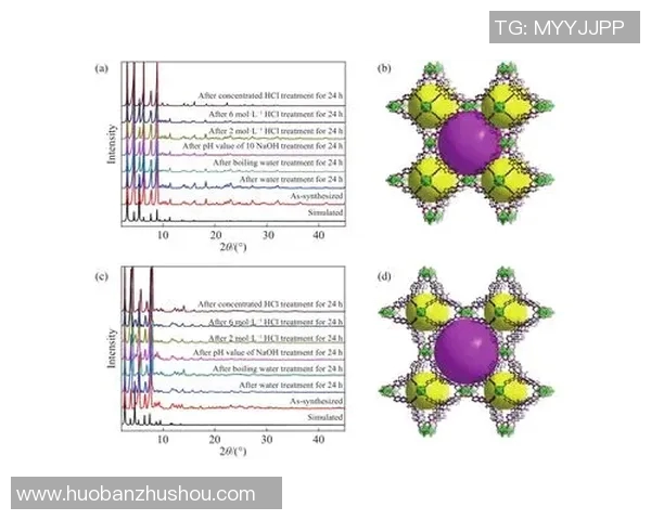 成都排球队耐力训练的科学分析与实战应用探讨 成都排球队耐力训练的科学分析与实战应用探讨